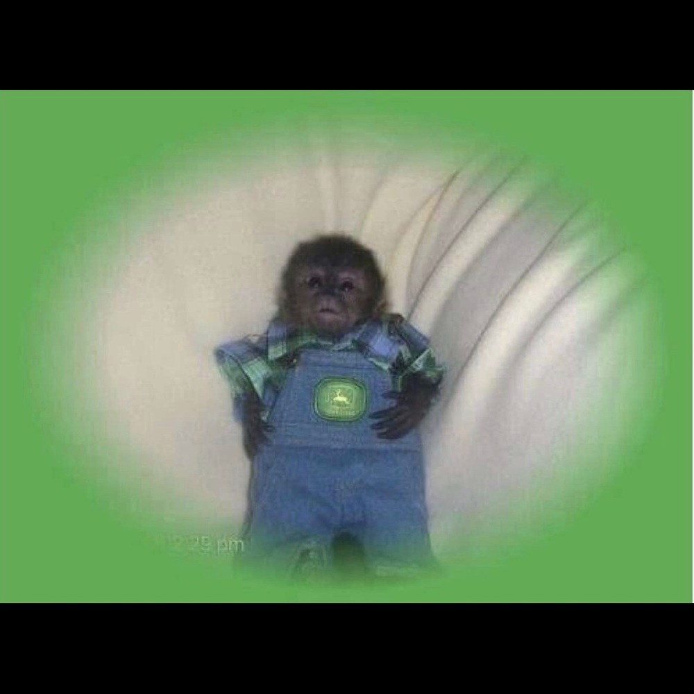 Meet your Posher, Jack